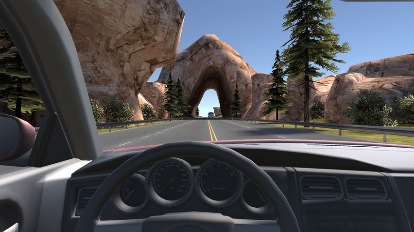 In car Racing VR