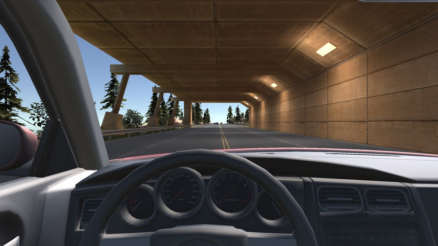 In car Racing VR
