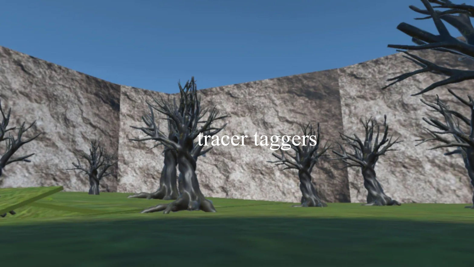 tracer taggers