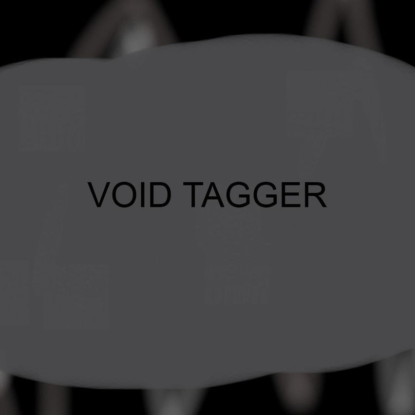 Void Tagger