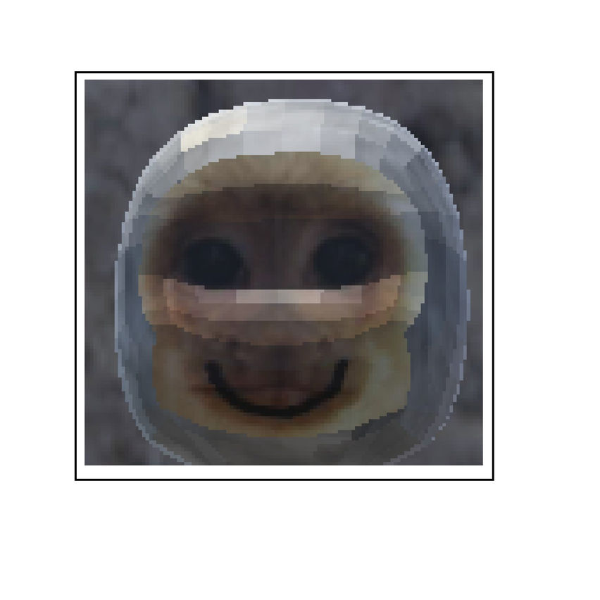 Fun monkeys (BROKEN)