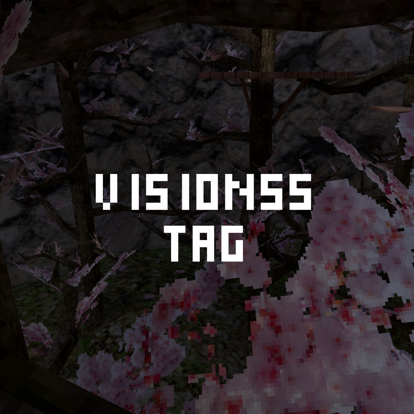 Visionss Tag