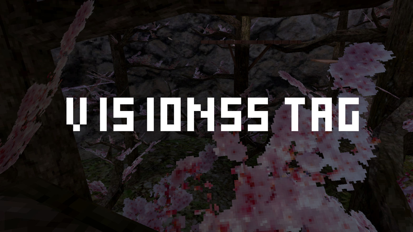 Visionss Tag