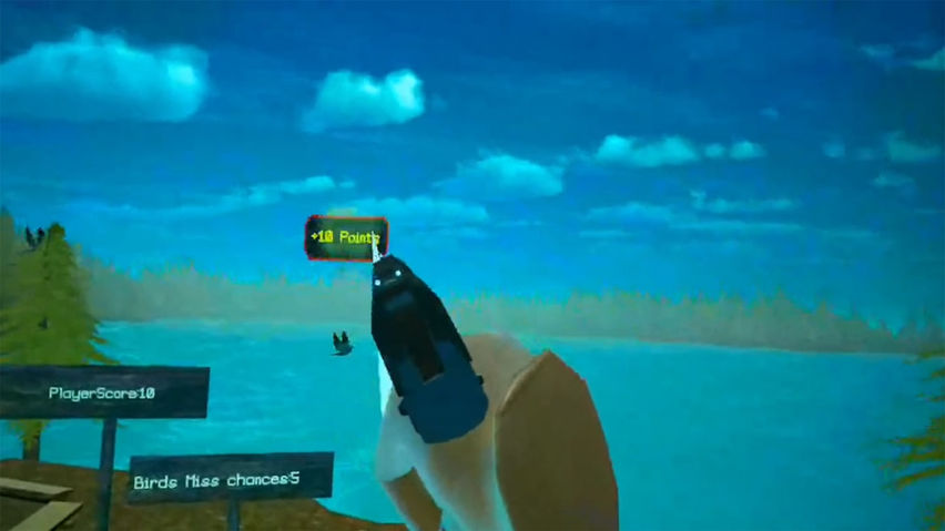 Bird Hunter Quest