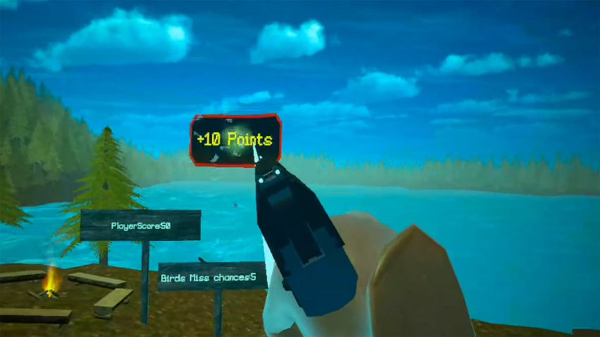Bird Hunter Quest