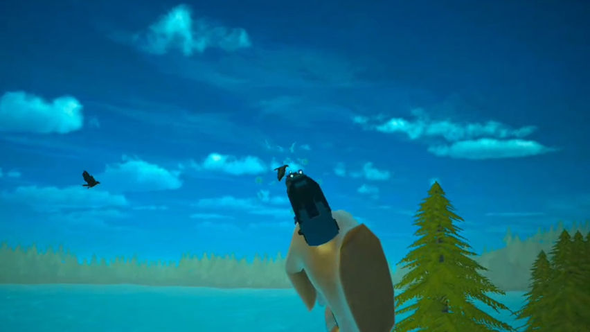 Bird Hunter Quest