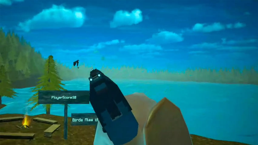 Bird Hunter Quest