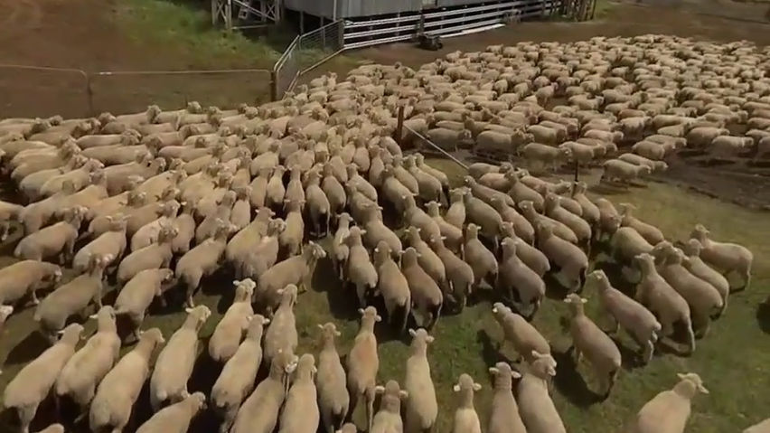 FarmVR Go