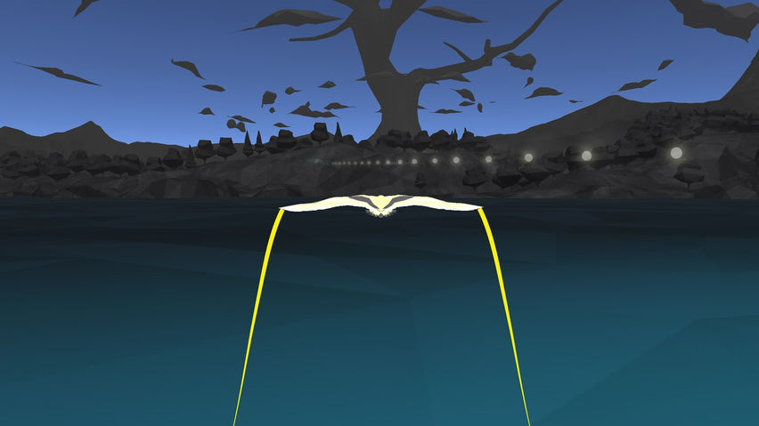 Soar