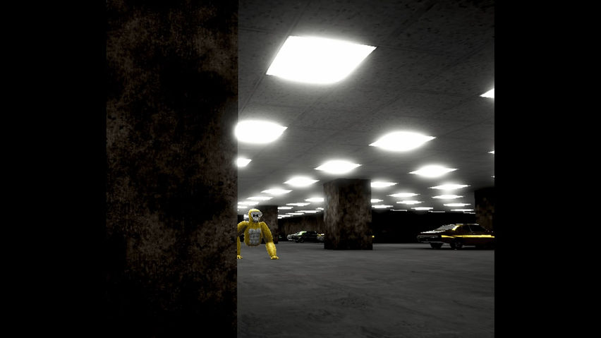 The Liminal