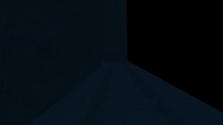 The Maze