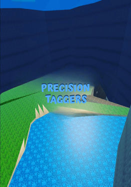 Precision Taggers