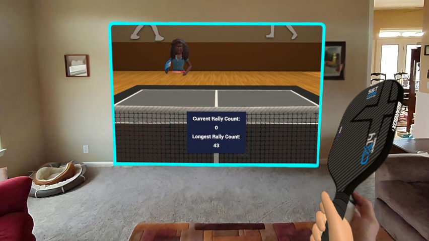 Pickleball Dink