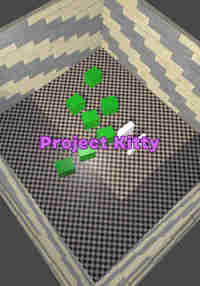 Project Kitty