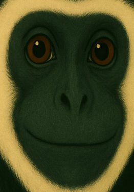 Colobus Fan Game