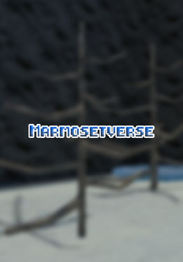 Marmosetverse