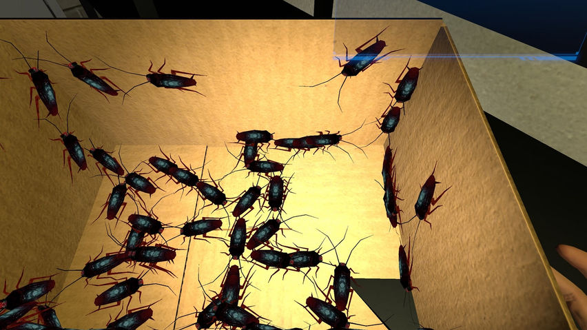 FEAR OF BUGS 2