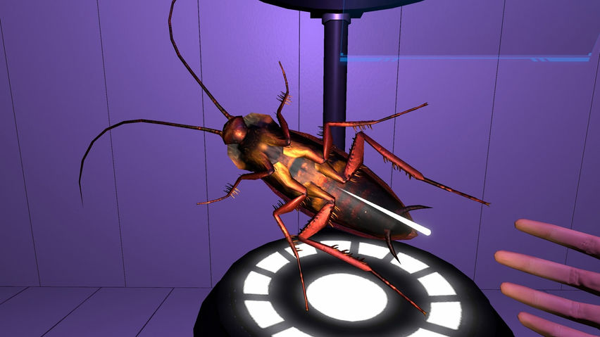 FEAR OF BUGS 2