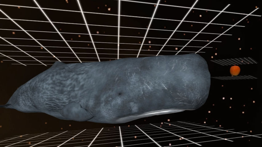 Space Time