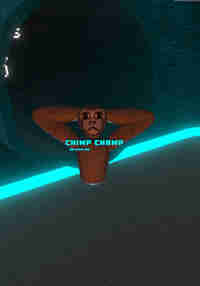 Chimp Champ