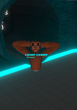 Chimp Champ
