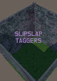 SlipSlap Taggers