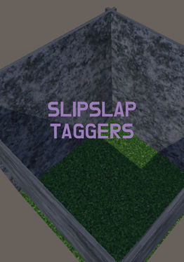 SlipSlap Taggers