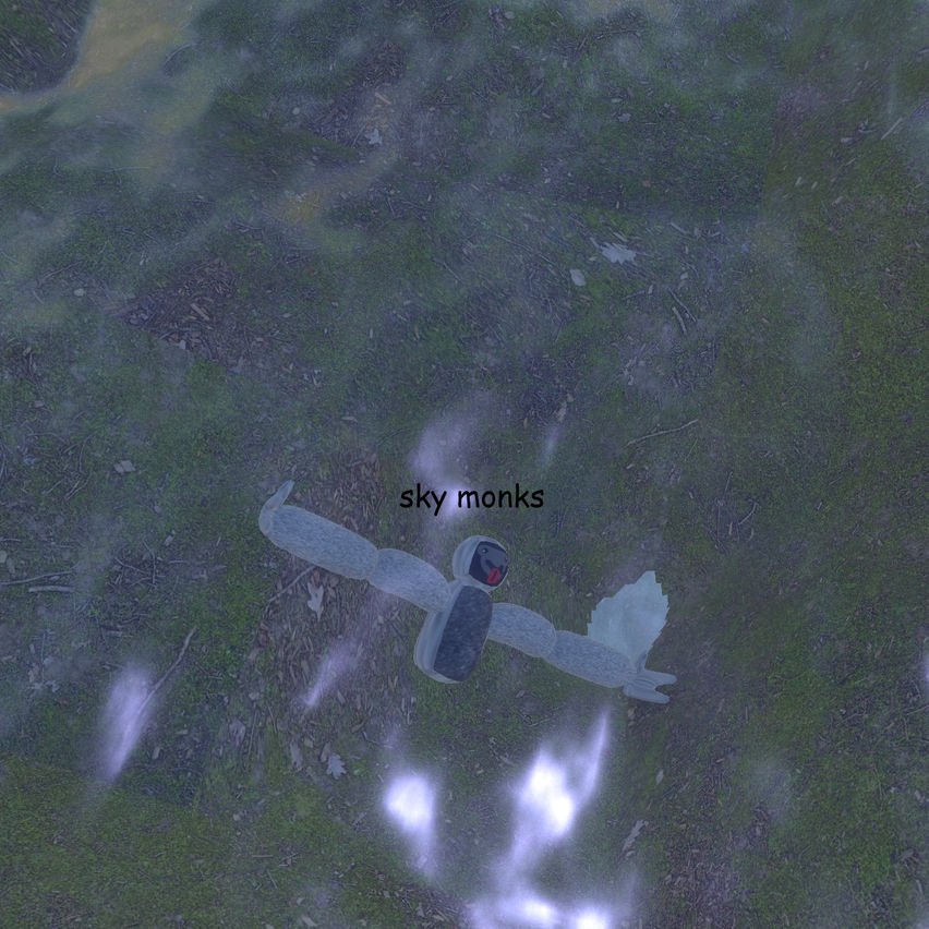 Sky Monks!