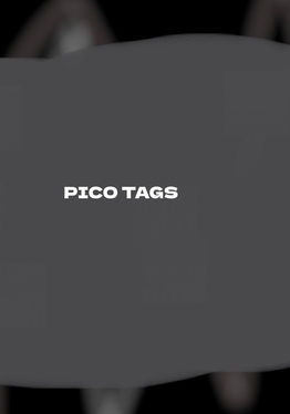 Pico Tags