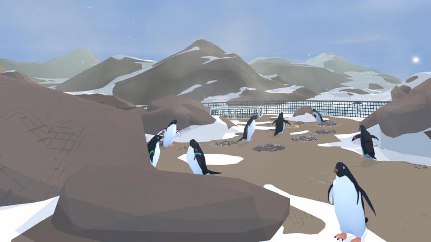 On the Ice: Hatched