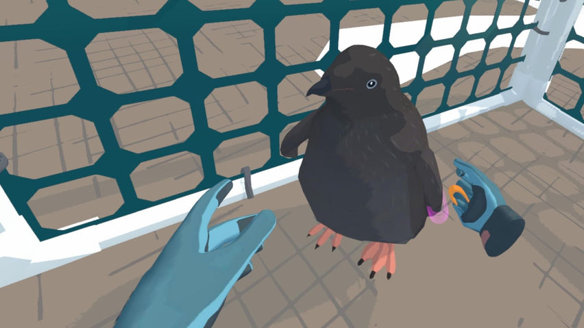 On the Ice: Hatched