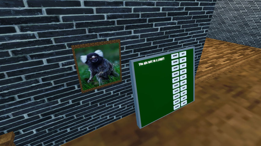 Marmoset Madness