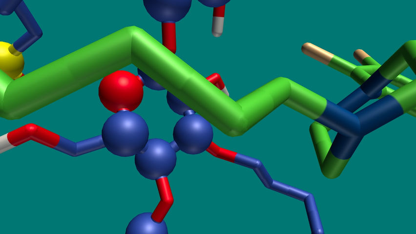 Ollomol VR for Captisol