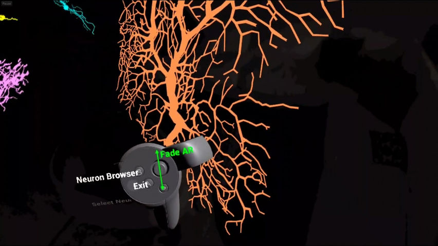 NeuronViewerVR