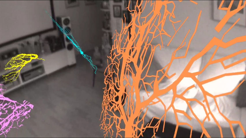 NeuronViewerVR