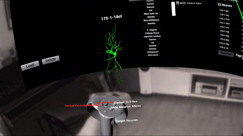 NeuronViewerVR
