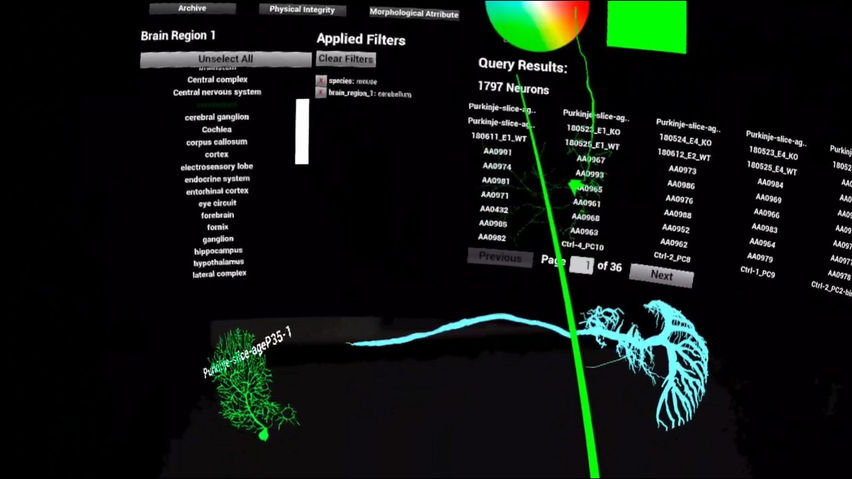 NeuronViewerVR