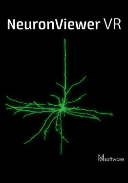 NeuronViewerVR
