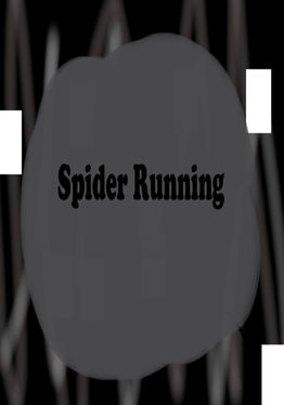 Spider Running