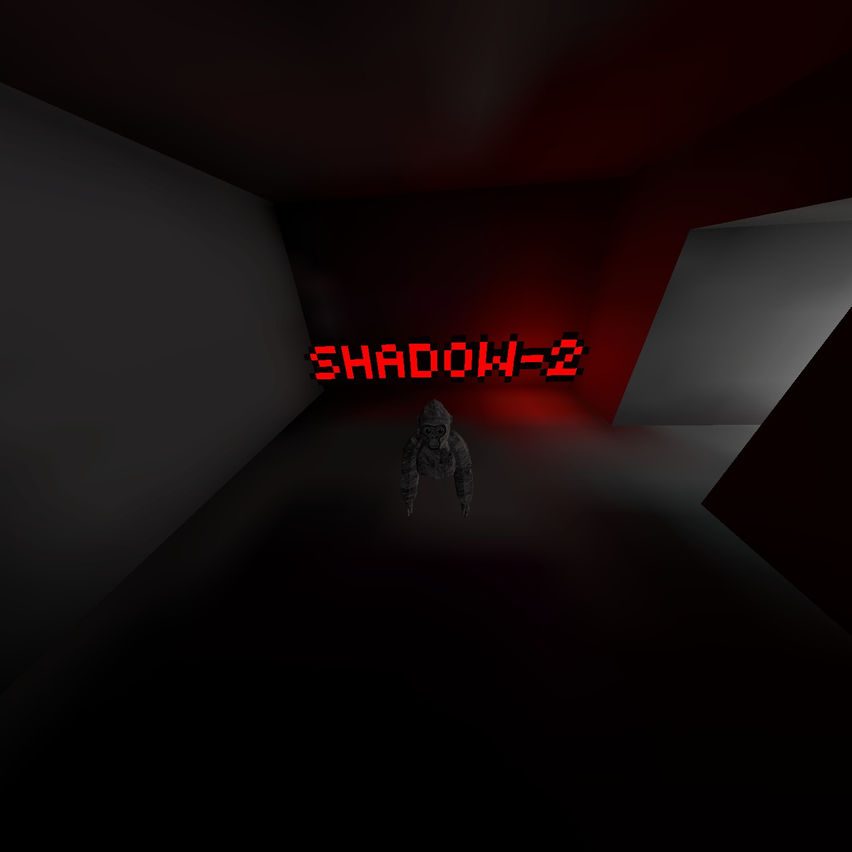 Shadow-2