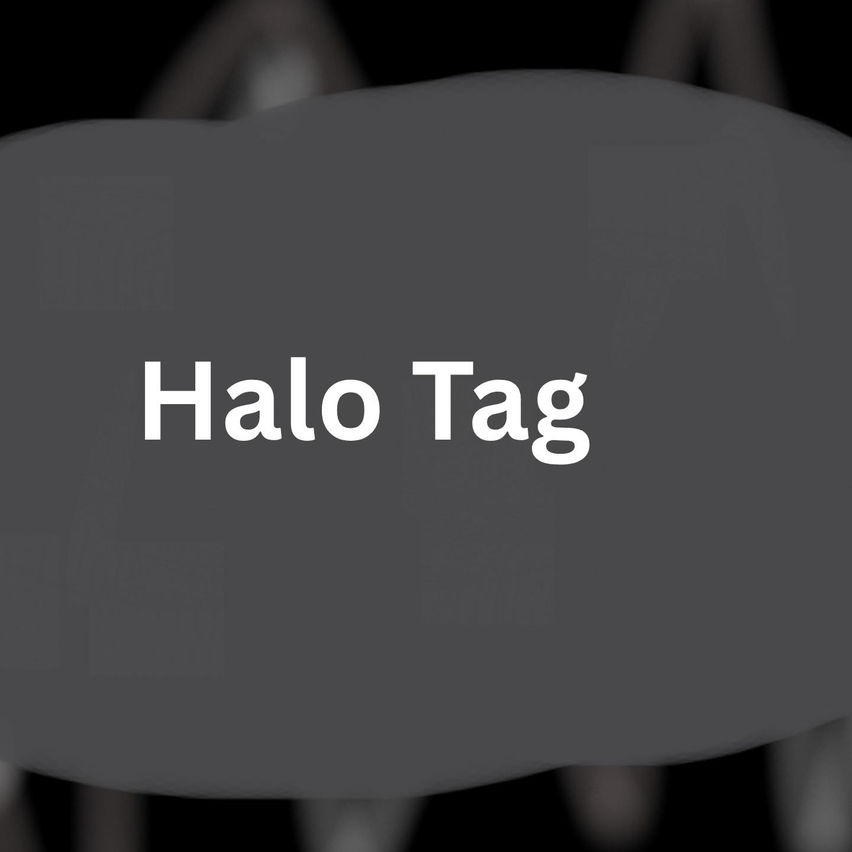 Halo Tag