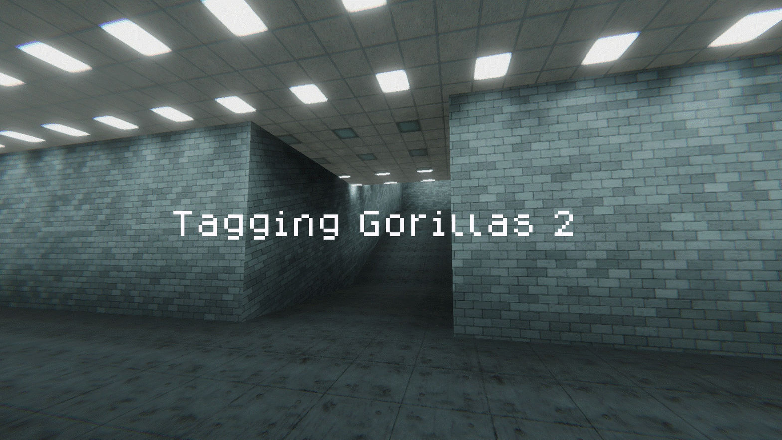 Tagging Gorillas 2