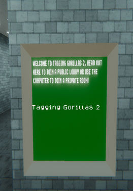 Tagging Gorillas 2