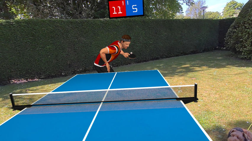 Timo Boll VR Table Tennis