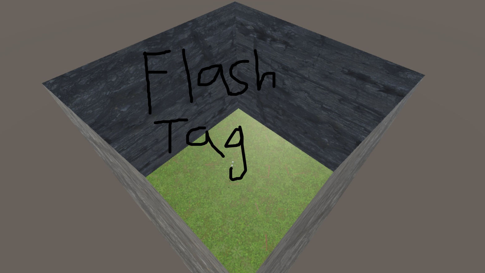 Flash Tag