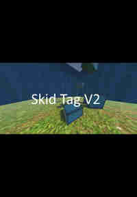 Skid Tag V2