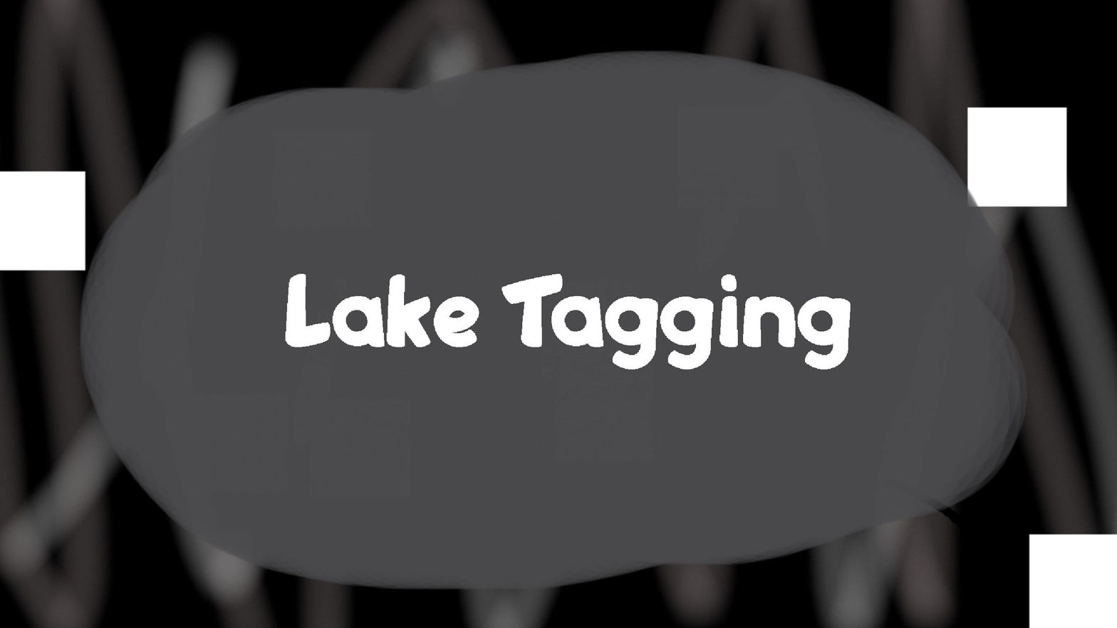 Lake Tagging