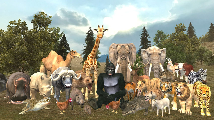 Zoo Park
