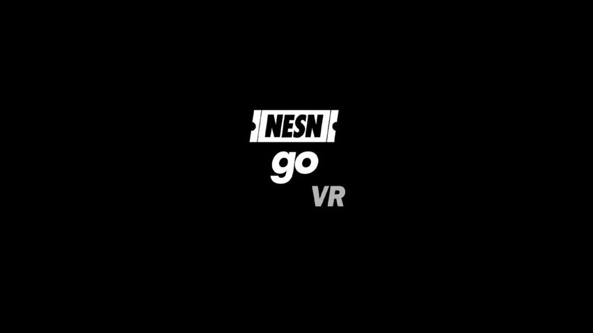 NESNgo VR