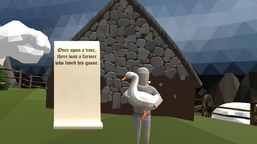 Wizard Stole My Goose